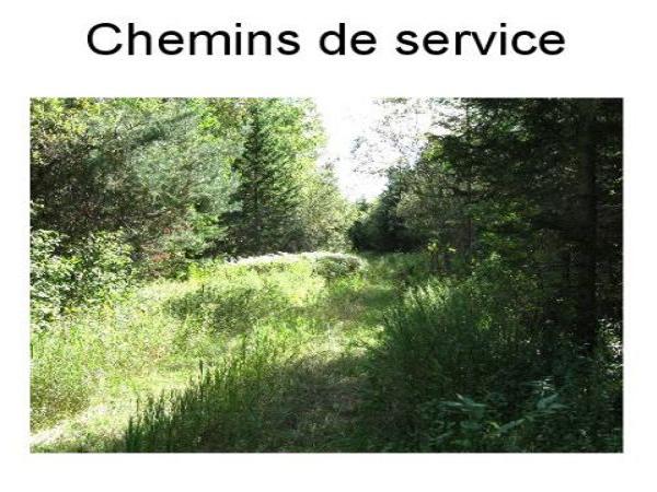 Chemins de service